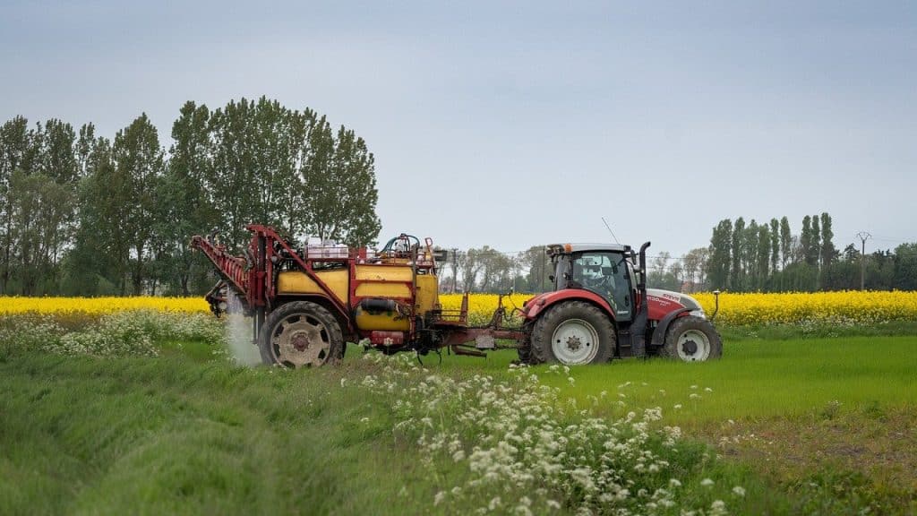 Quelles sont les étapes à suivre pour une création d'entreprise agricole ?